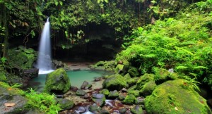 waterfall-rainforest-dominica-caribbean_main