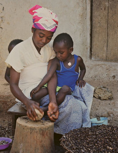 lavorazione cacao