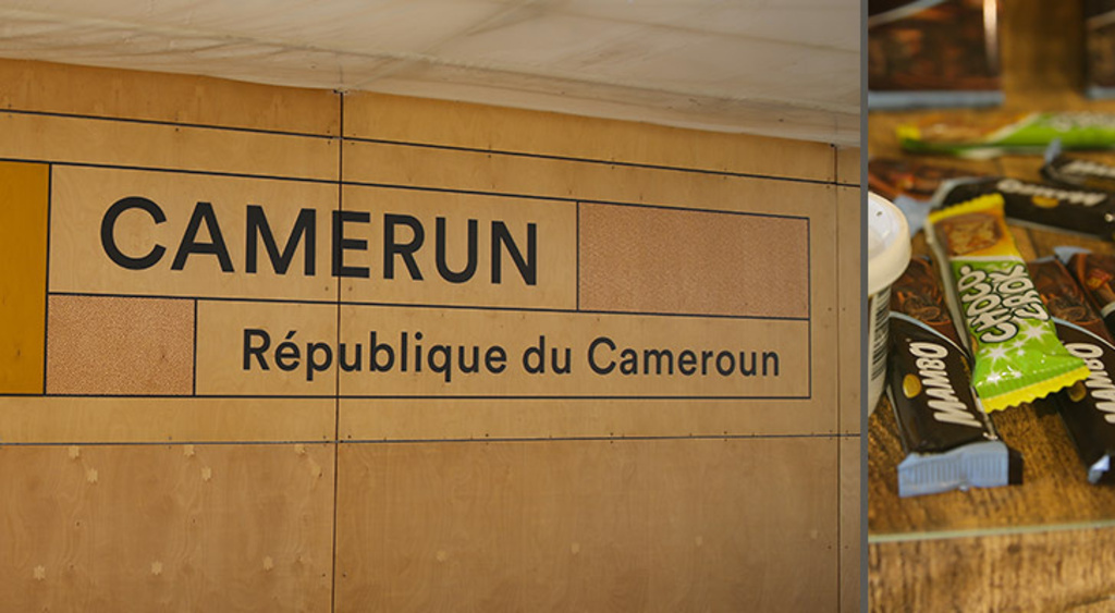 img1024-EXPO_16_9National-day-Camerun