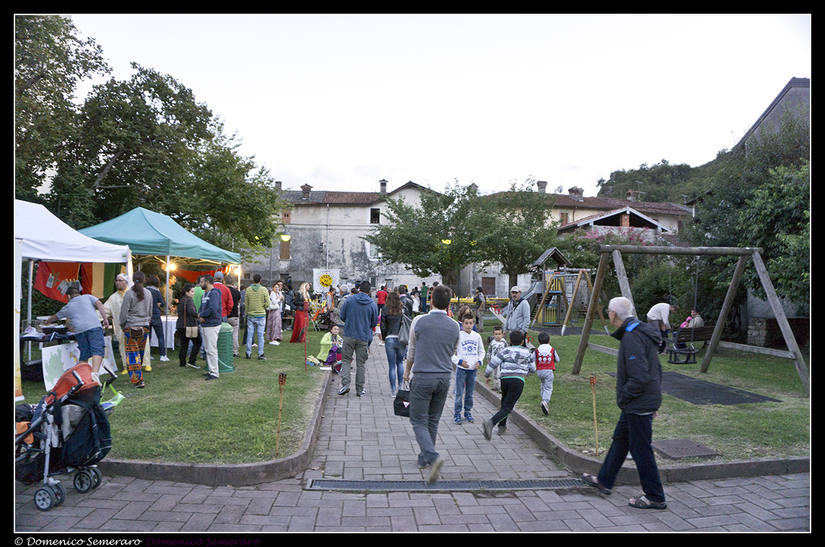 DSC04825__sem