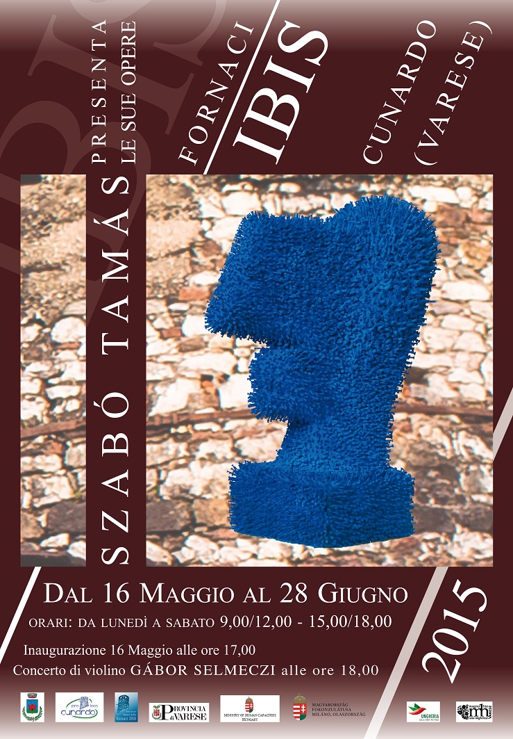 MANIFESTO 50X70 TAMAS ibis_Layout 1