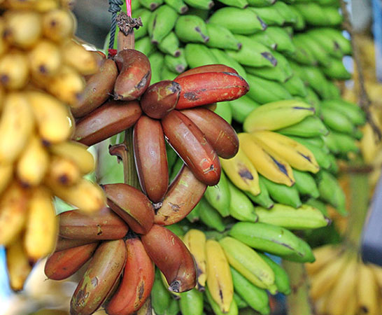 Mozambique_food_img