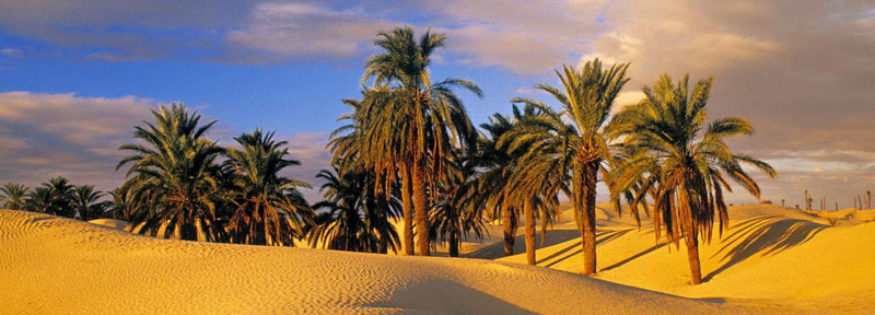 desert-oasis-tunisia-slide