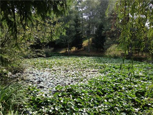 2063827513_eb224733-6251-4dcc-96fa-e524a5741249_500